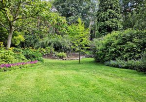 Optimiser l'expérience du jardin à Rustenhart